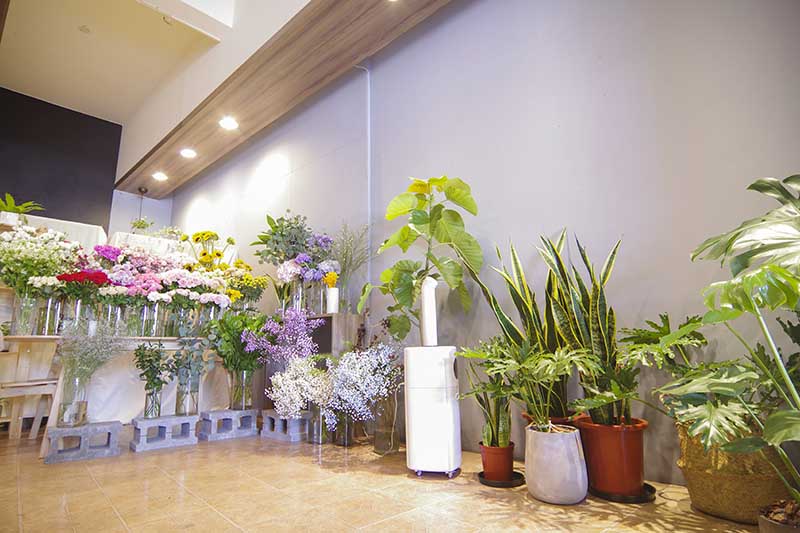 玉屋 TAMAYA Flowers & Plants正統日式花藝美學與空間