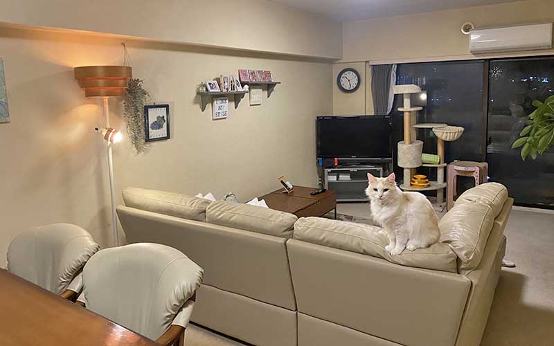【Homestay in Japan】寄宿家庭的生活直擊 - J'STUDY MAGAZINE