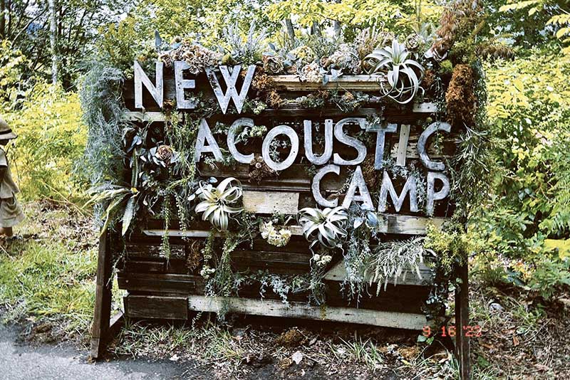 夏日音樂節 不插電音樂節 New Acoustic Camp