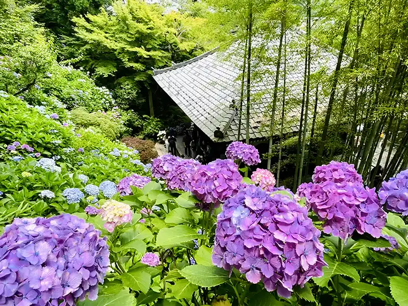 日本人最推 適合旅遊月份
