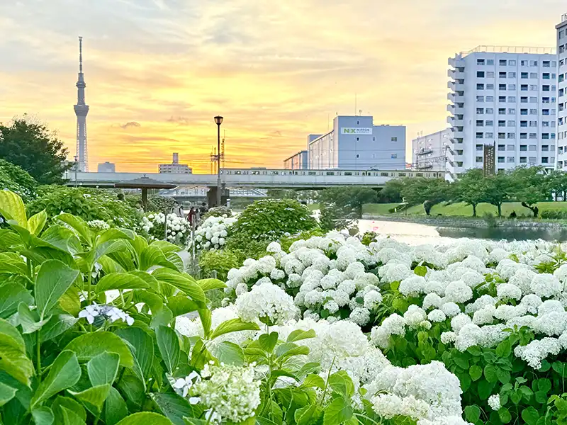 日本最適合旅遊月份